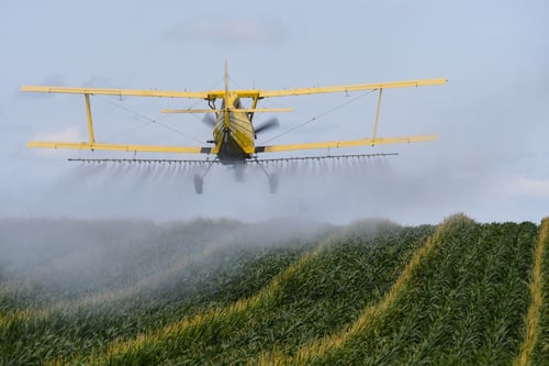 Crop Dusting rear view