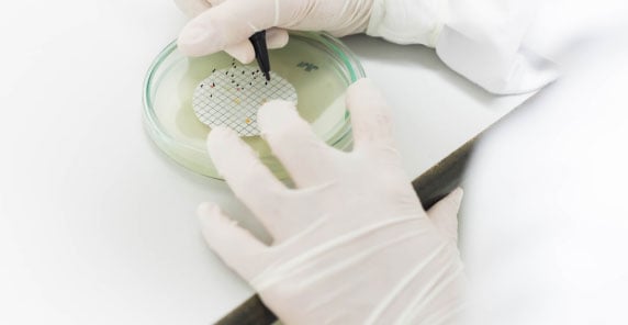 microbiologist-counting-microorganism-from-water-sample